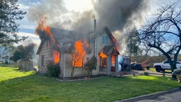 Fire Risk Assessment vs Fire Safety Audit: Key Differences