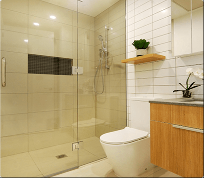 How Professional Plumbing Services In The North Shore Protect Your Home?