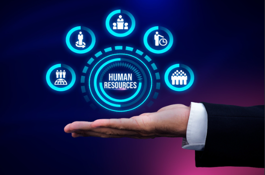 Free HR Tools Worth Using Before You Spend a Rupee on Software